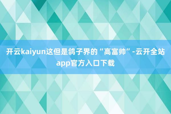 开云kaiyun这但是鸽子界的“高富帅”-云开全站app官方入口下载