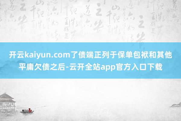 开云kaiyun.com了债端正列于保单包袱和其他平庸欠债之后-云开全站app官方入口下载